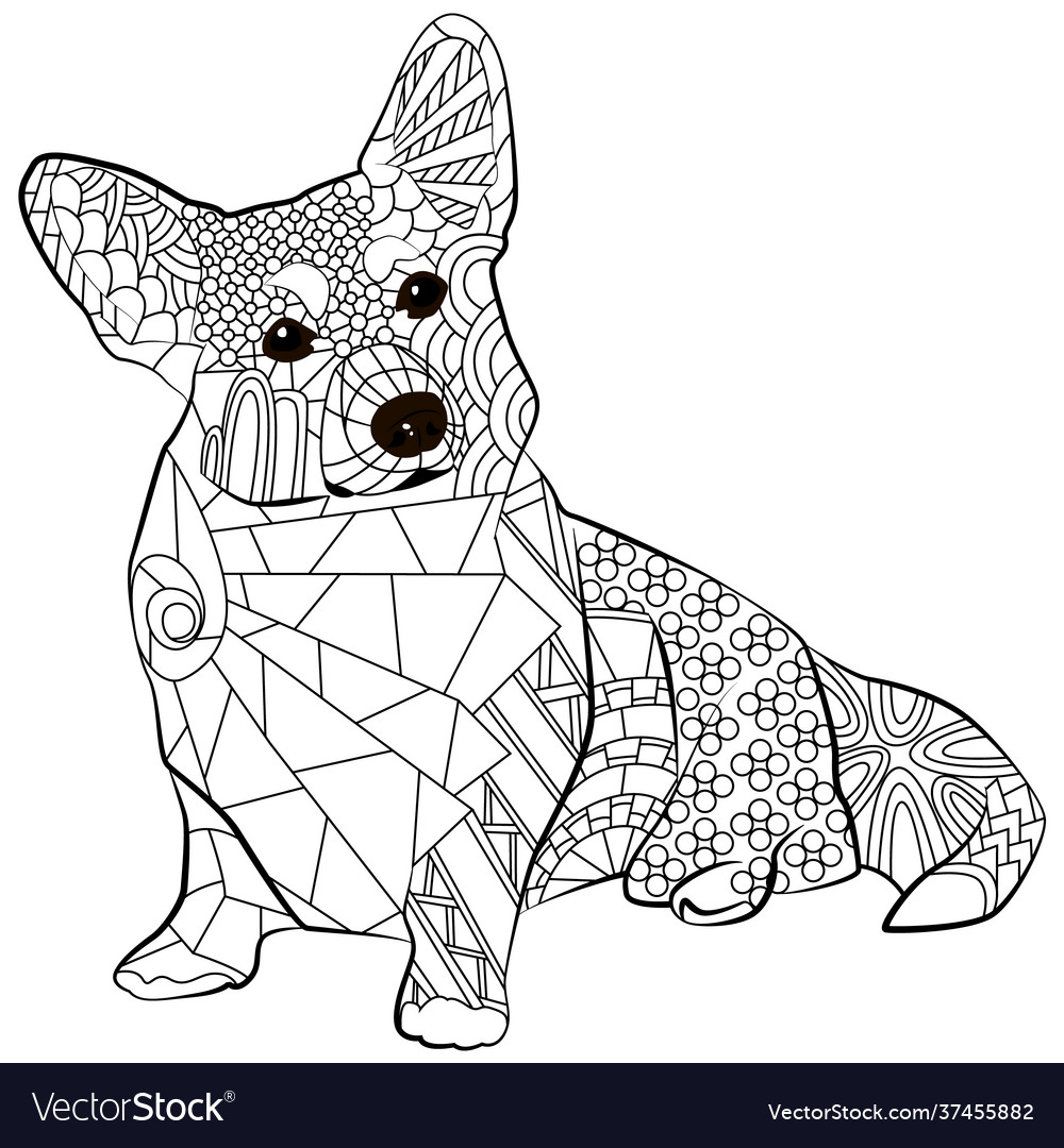 Corgi breed dog Royalty Free Vector Image - VectorStock