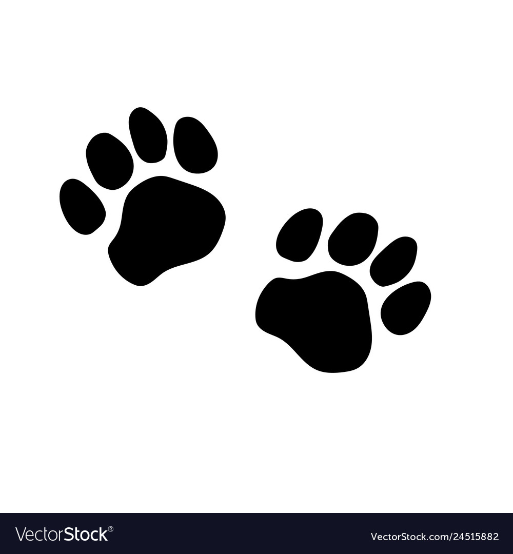 Cute Paw Prints Logo