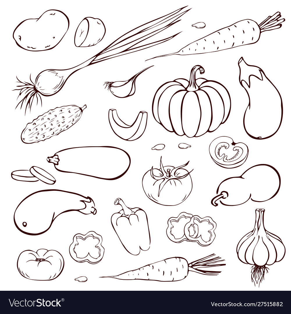 Outline vegetables set isolated on white Vector Image