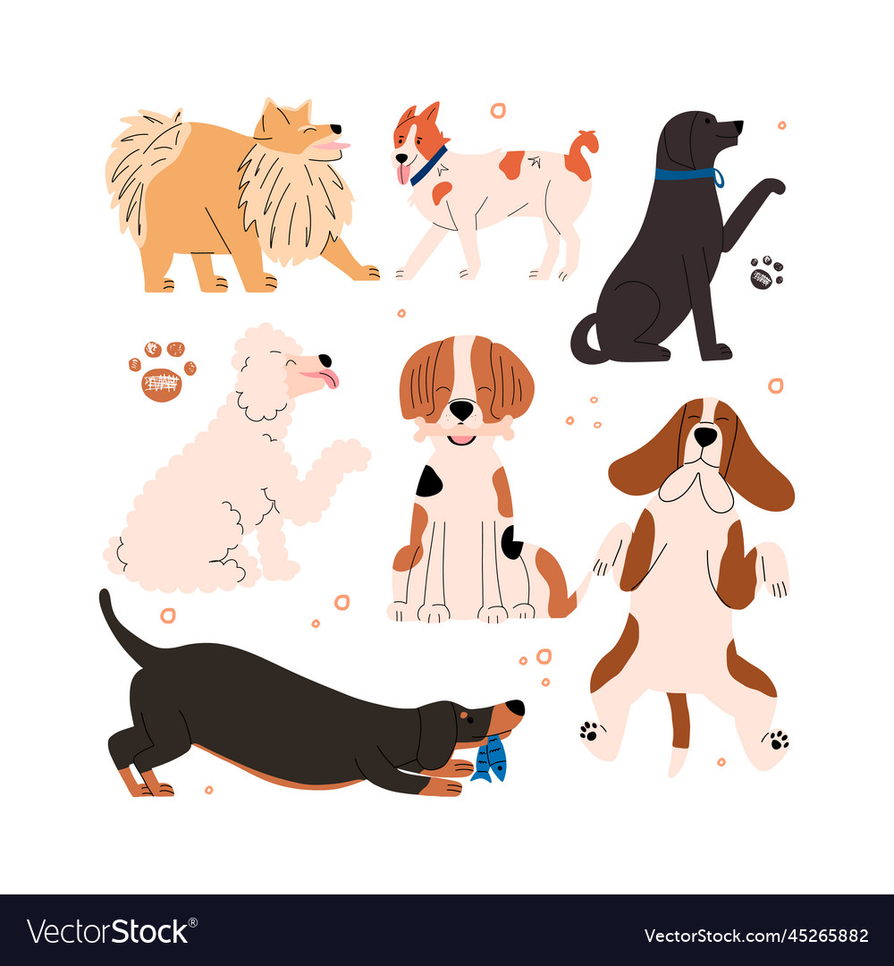 Set of emotional and positive dogs collection Vector Image