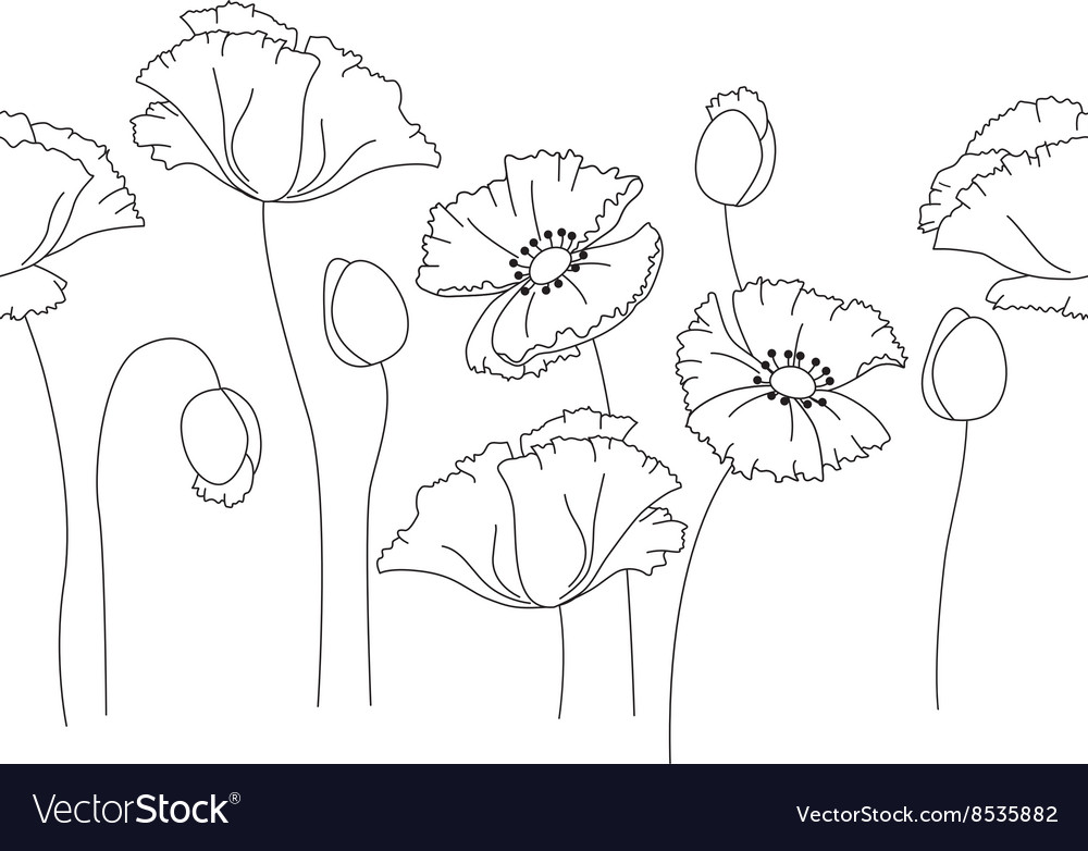 Stylized cute poppy isolated on white background