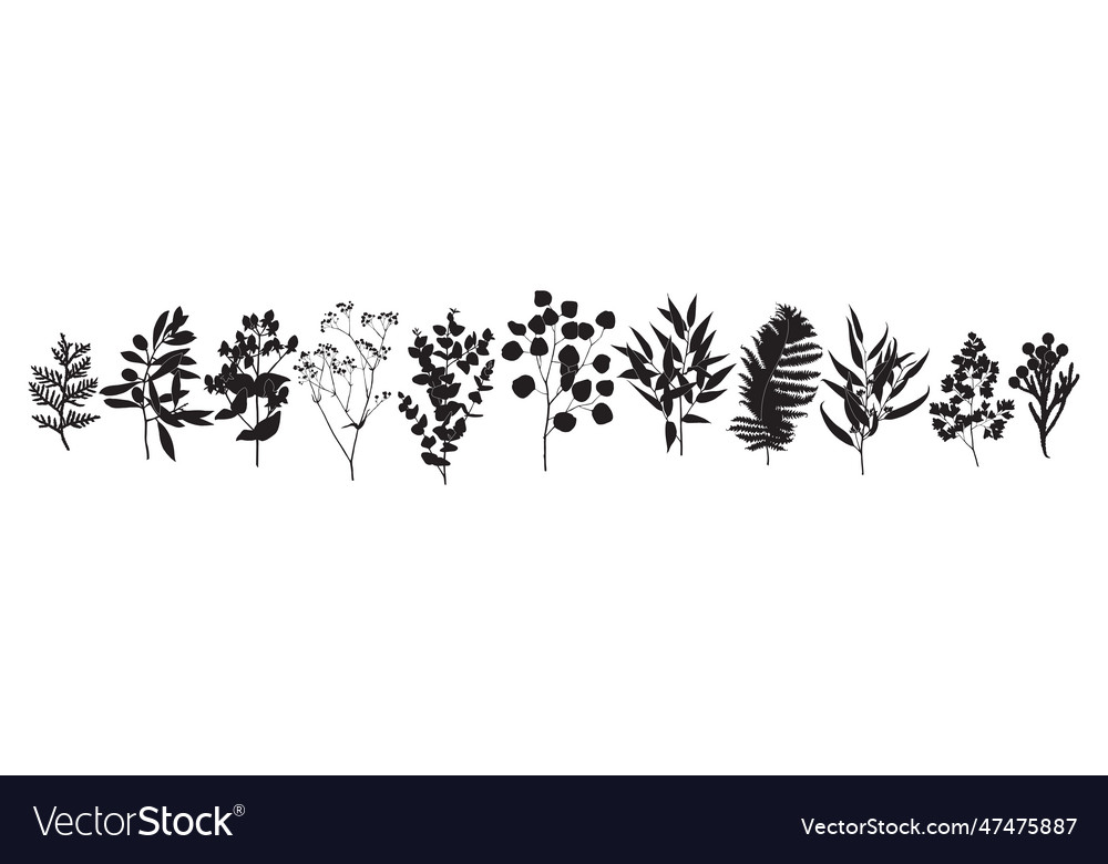Botanical trendy greenery silhouettes for logo vector image Botanical trendy greenery silhouettes for logo