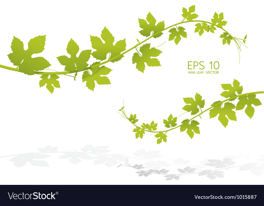 Green Leaf Background Royalty Free Vector Image Green Leaf Background Royalty Free Vector Image