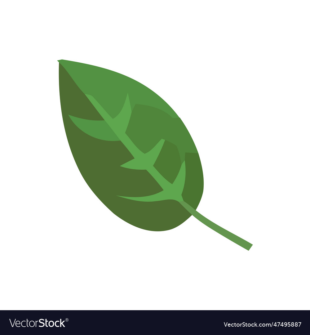 Green Leaf Symbolize Growth And Freshness Vector Image