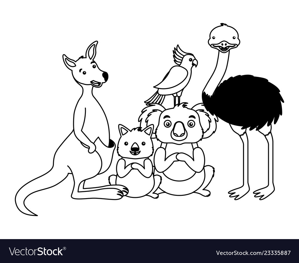 Kangaroo koala wombat cockatoo and emu Royalty Free Vector