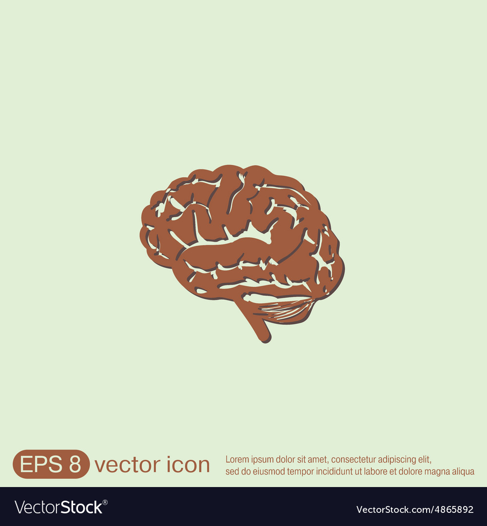 Brain mind and science