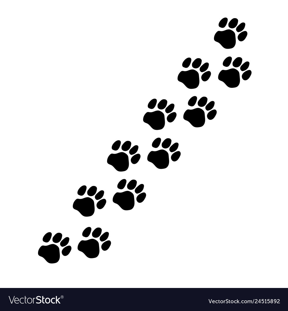Cute Paw Prints Logo