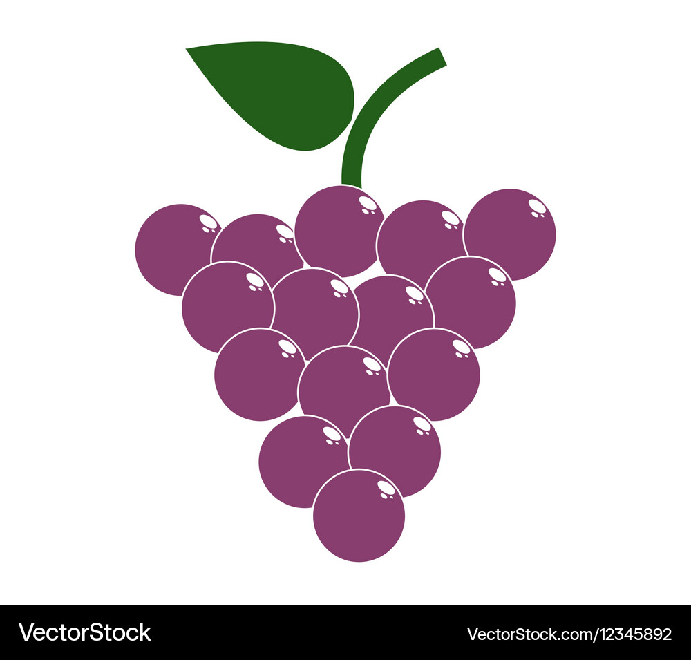 Icon grape Royalty Free Vector Image - VectorStock