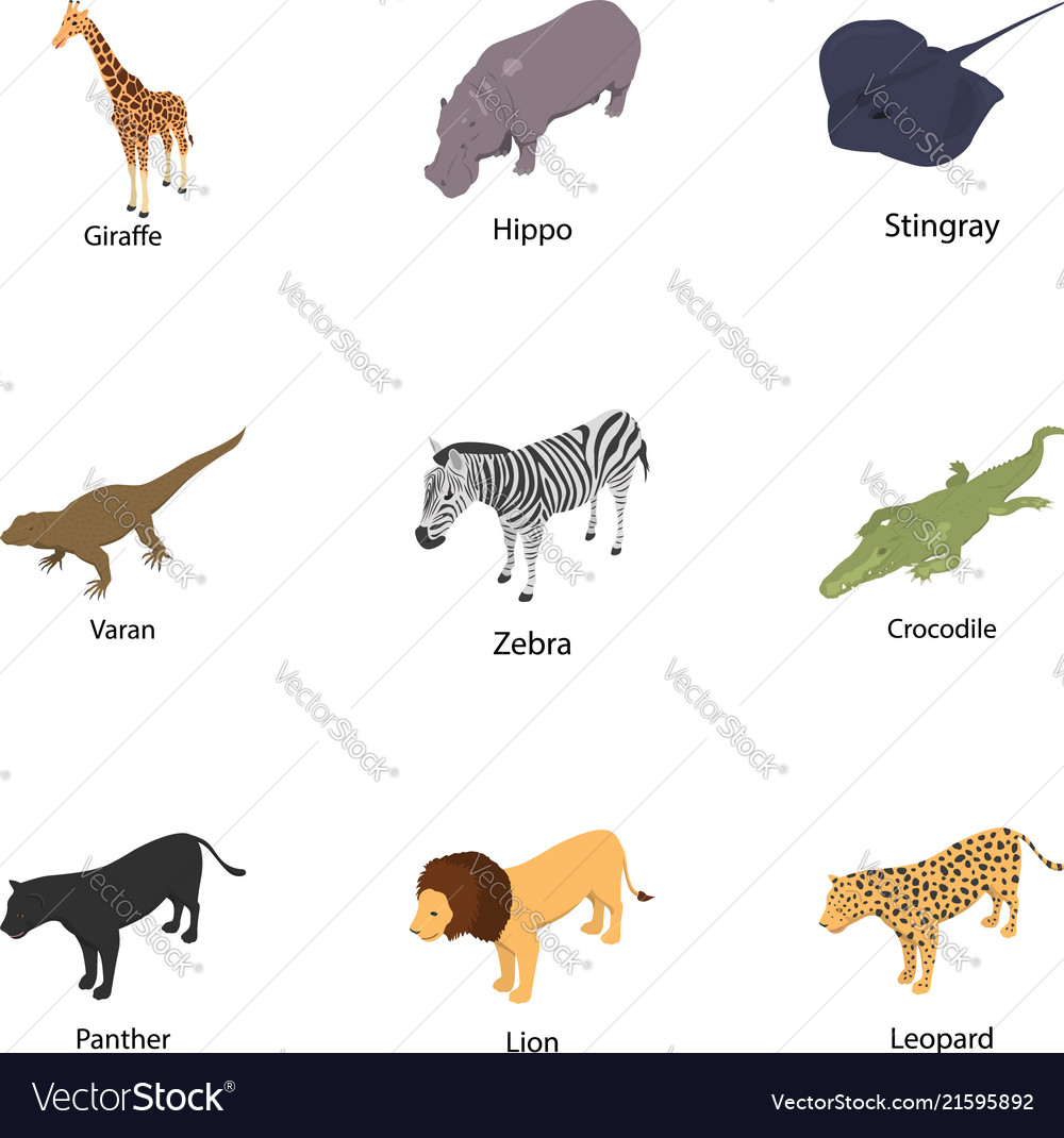 Stockbreeding icons set isometric style Royalty Free Vector