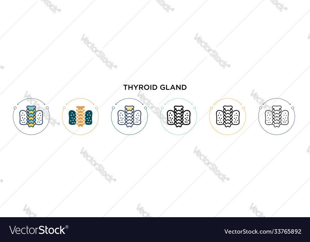 Thyroid gland icon in filled thin line outline