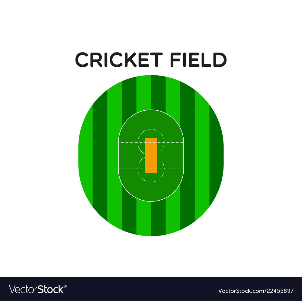 Cricket field arena Royalty Free Vector Image - VectorStock