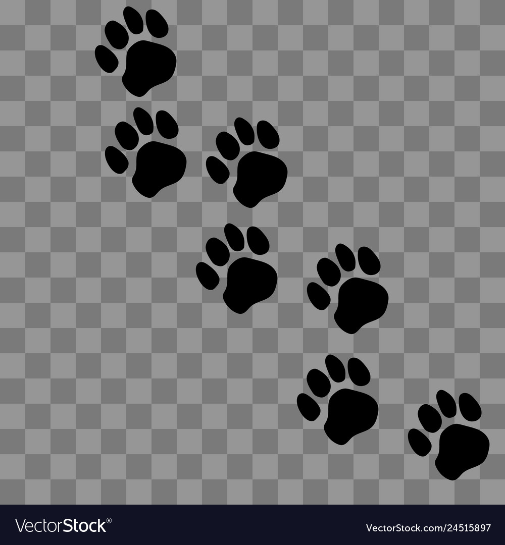 Paw prints logo