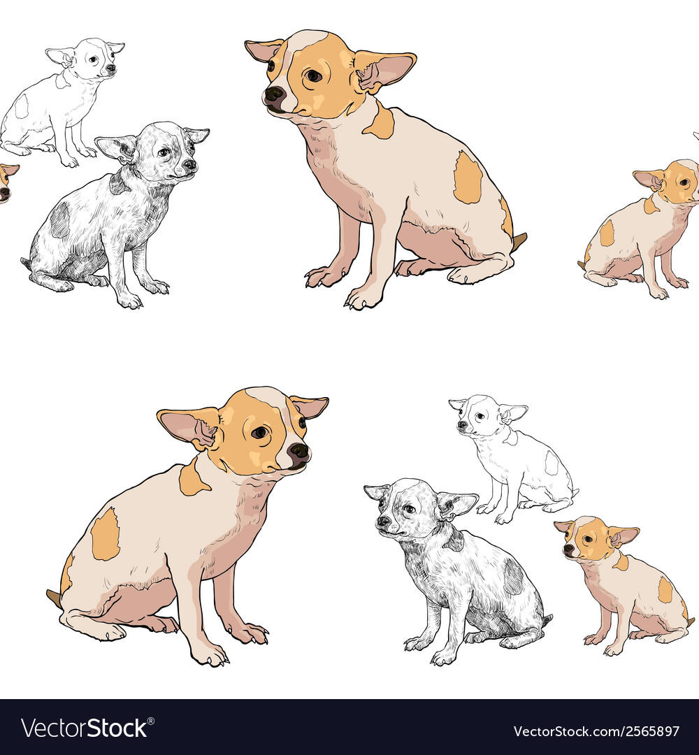 Seamless pattern of adorable chihuahua