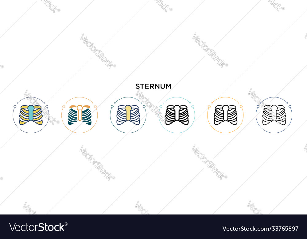 Sternum icon in filled thin line outline