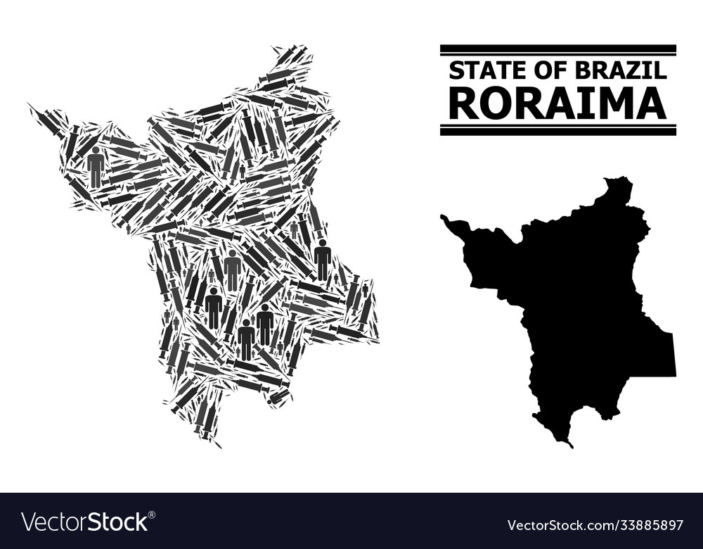 Vaccine mosaic map roraima state vector image Vaccine mosaic map roraima state