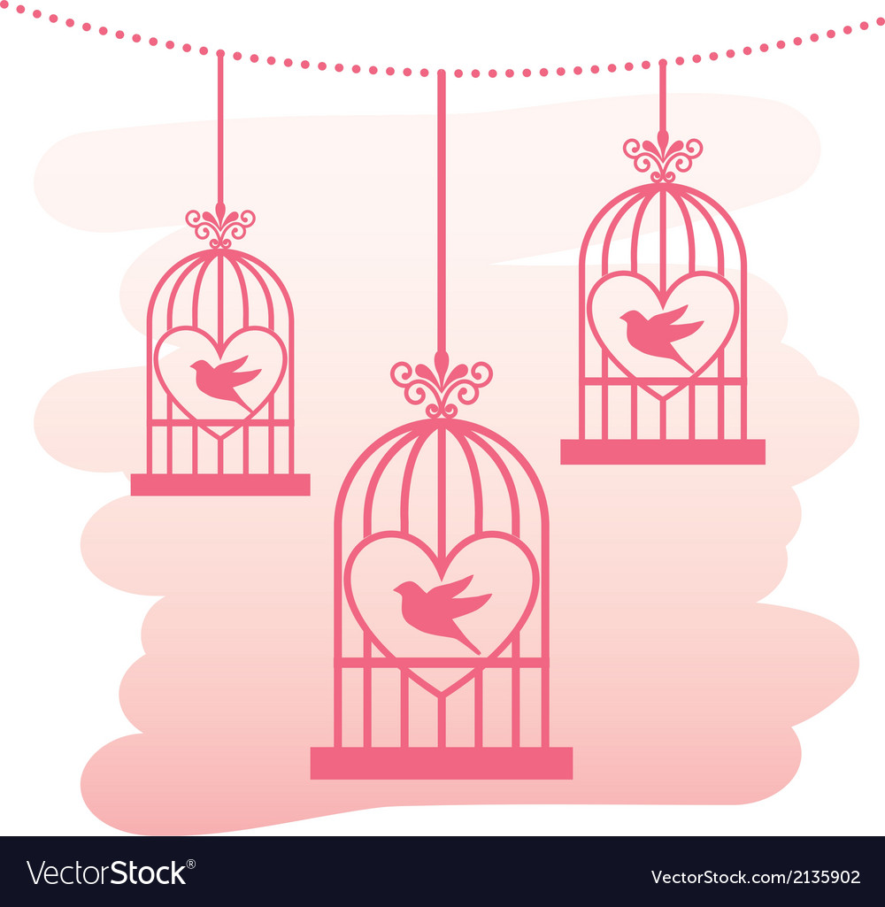 Love birds design over white background