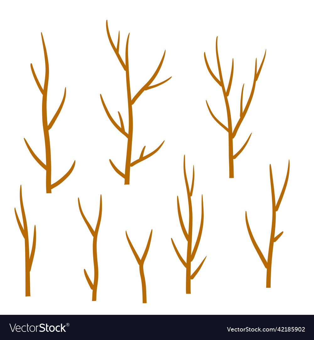 Tree branch set of different brown sticks