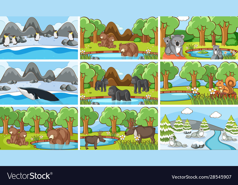 Background scenes animals in wild Royalty Free Vector Image