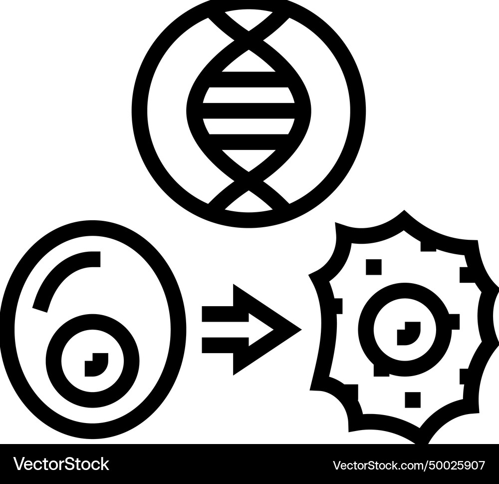 Cellular reprogramming cryptogenetics line icon – Royalty-Free Vector ...