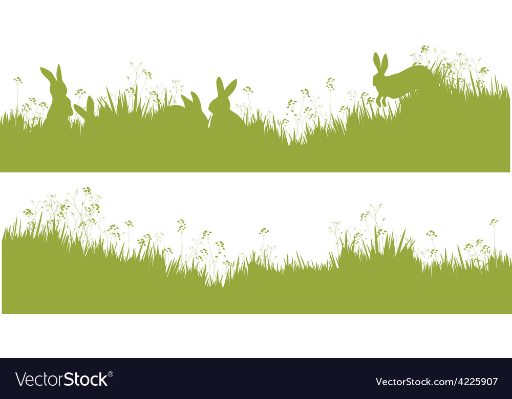 Rabbits grass background