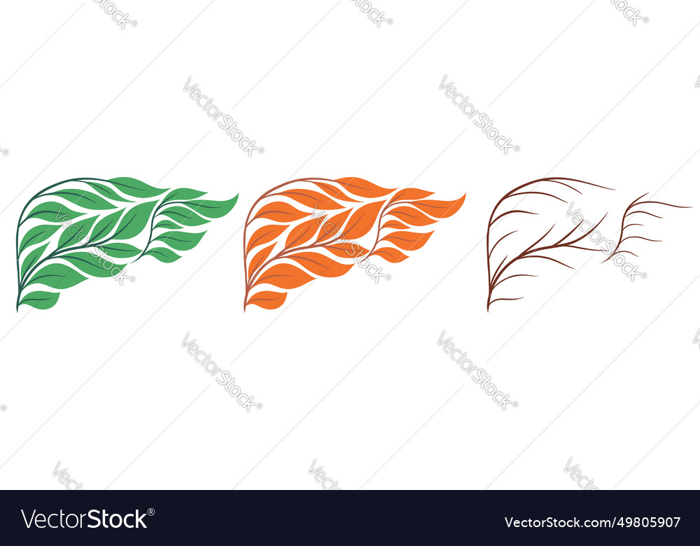 Set of human healthy and unhealthy livers Vector Image