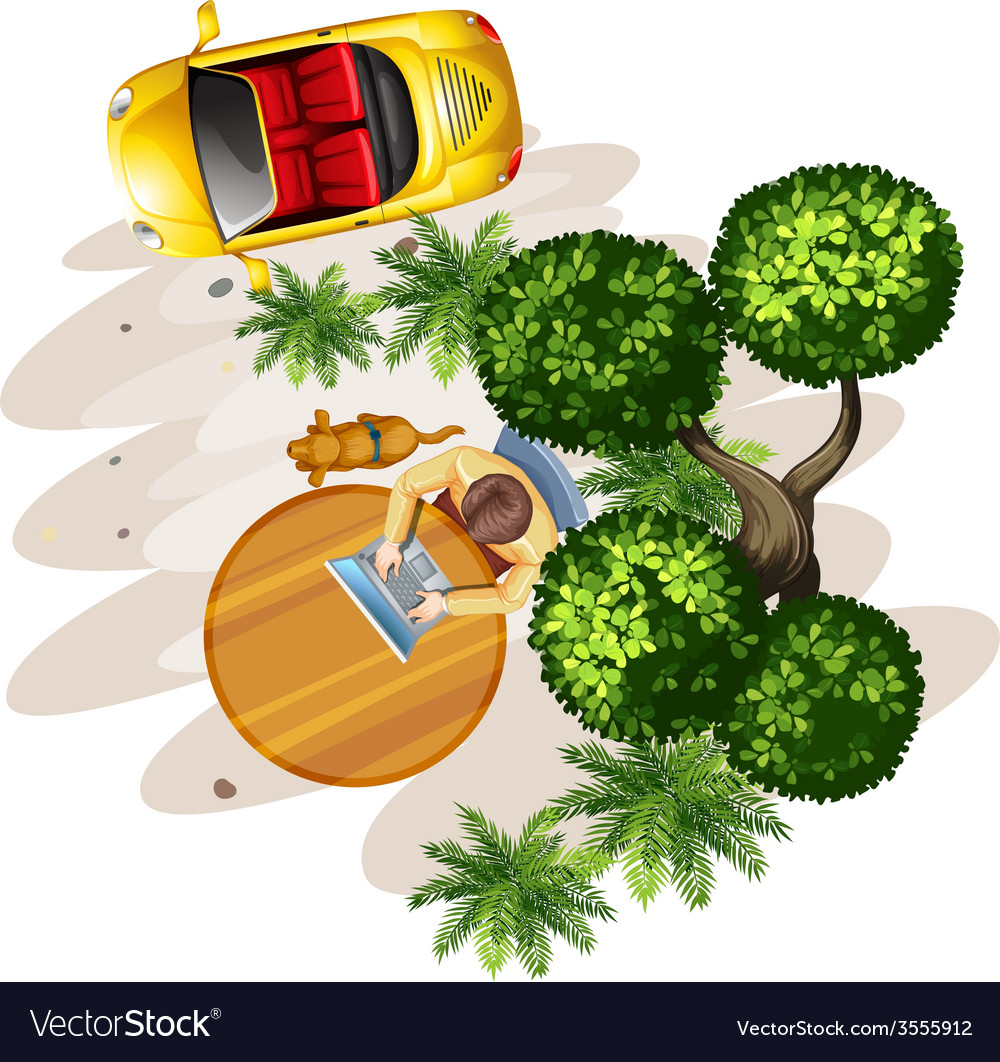 A topview of table with man tree