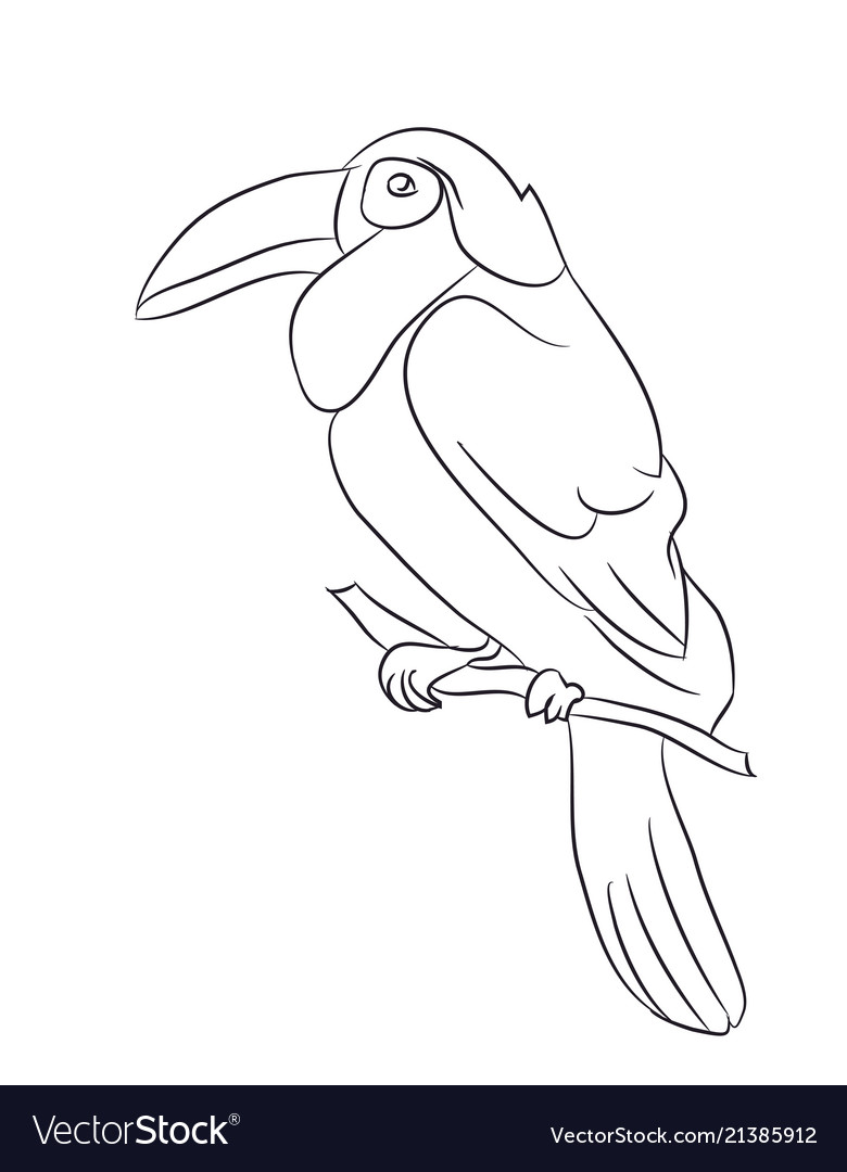 Bird sitting on a branch lines