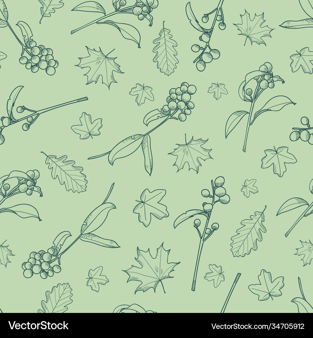 Green leaves and berries autumn woods pattern Vector Image