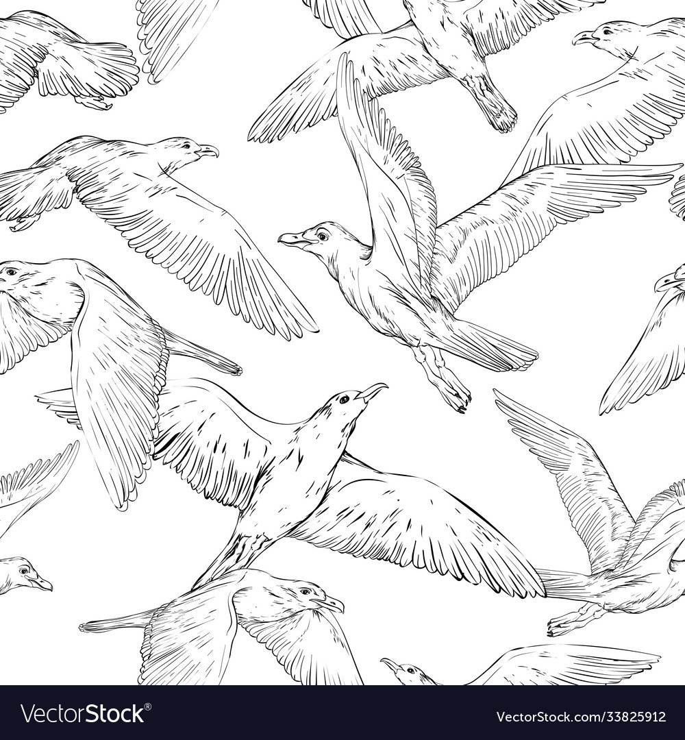 Nahtlose Hintergrund mit handgezogenen Möwen vector image Nahtlose Hintergrund mit handgezogenen Möwen