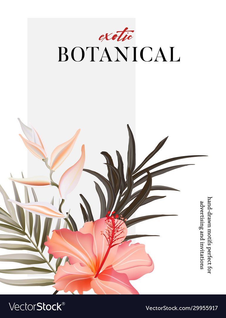 Rosemallows flower arrangement botanical motif vector image Rosemallows flower arrangement botanical motif