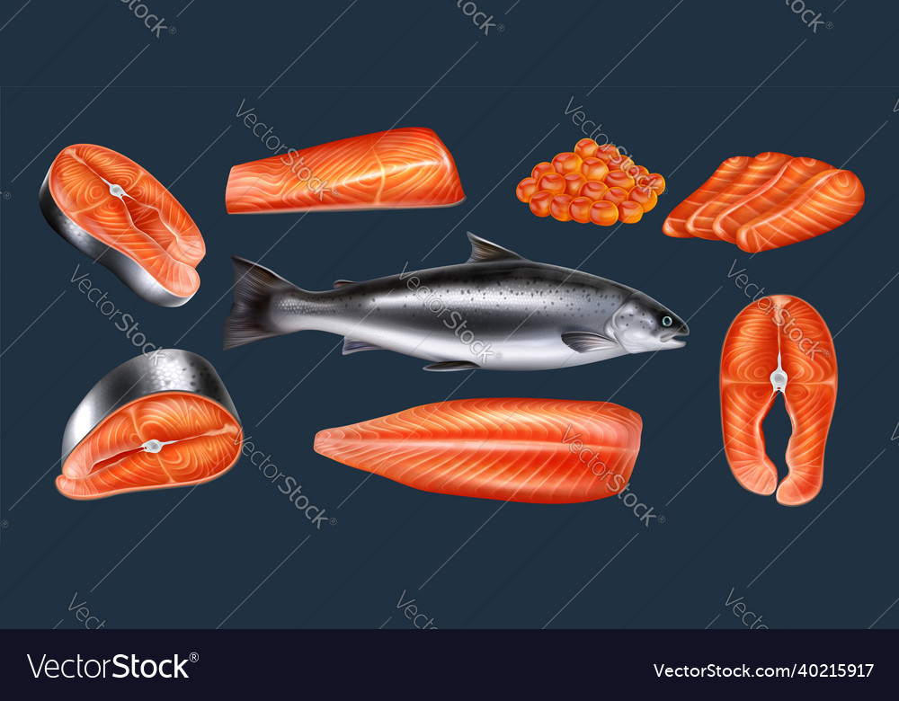 Salmon whole red fish caviar raw steaks Royalty Free Vector