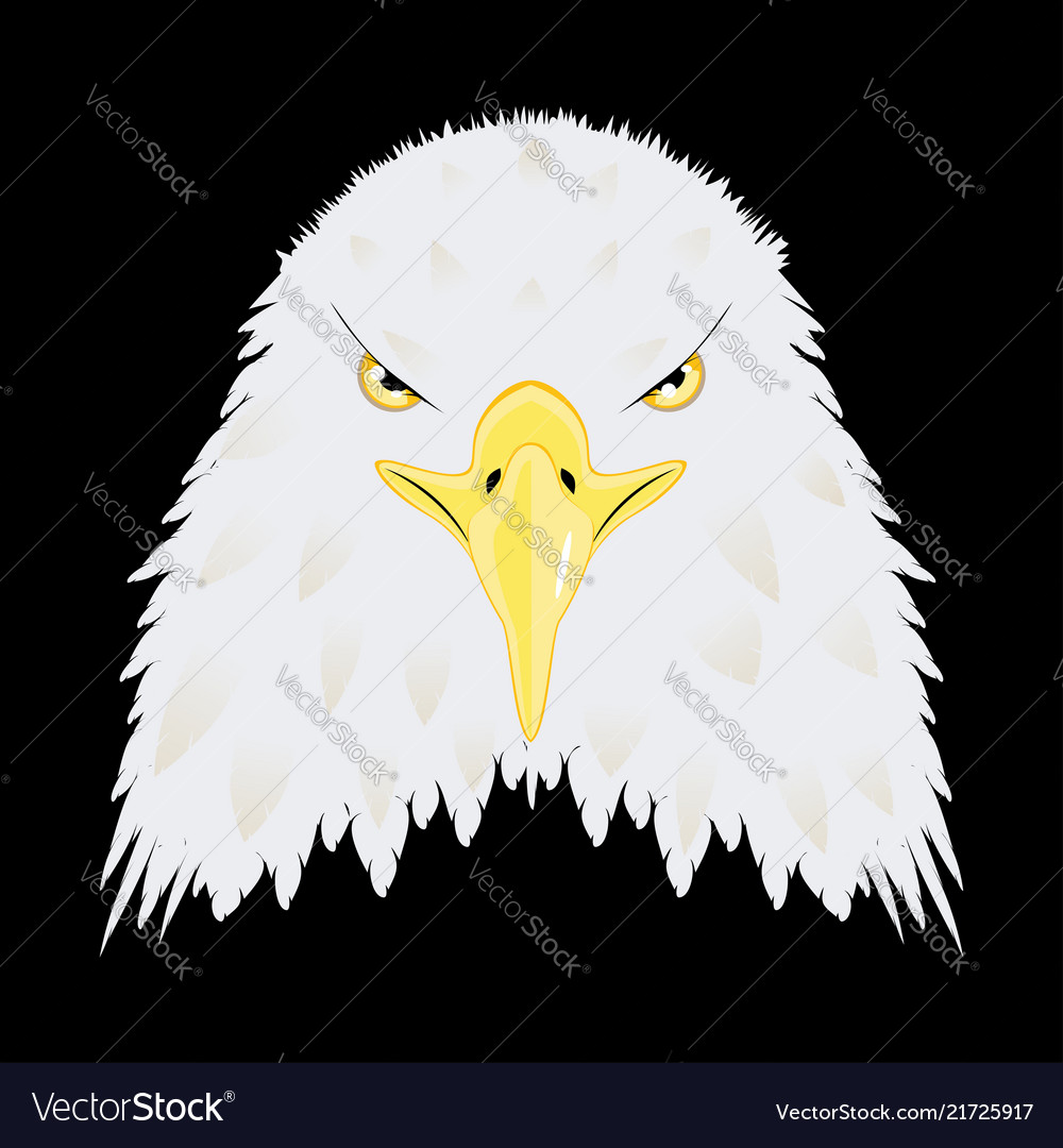 Stylized bald eagle head