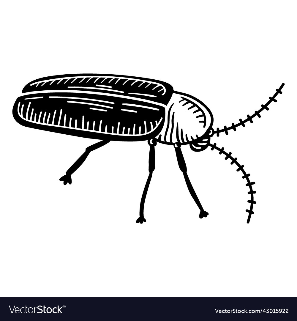 Cockroach bug cut-out