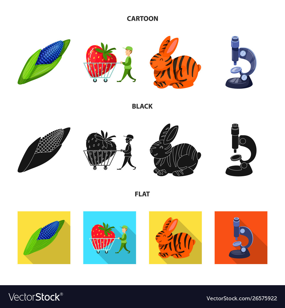 Design test and synthetic icon set vector image Design test and synthetic icon set