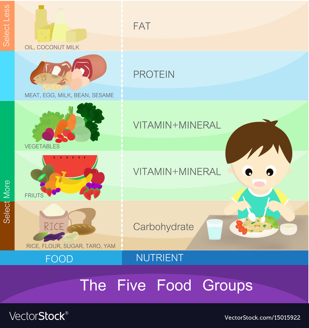 five-food-groups-royalty-free-vector-image-vectorstock