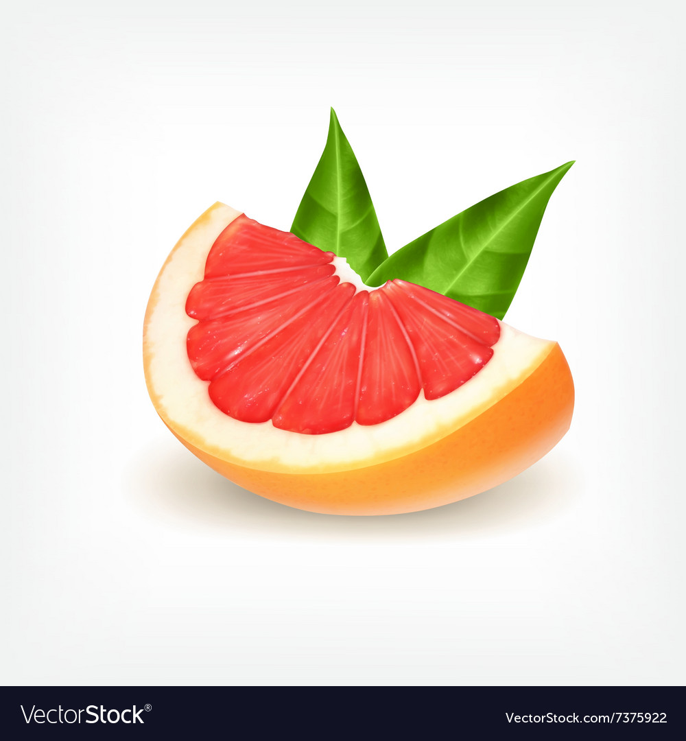 Slice of fresh grapefruit