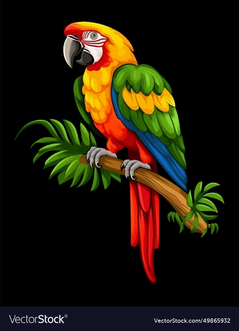 Bright parrot on black background Royalty Free Vector Image