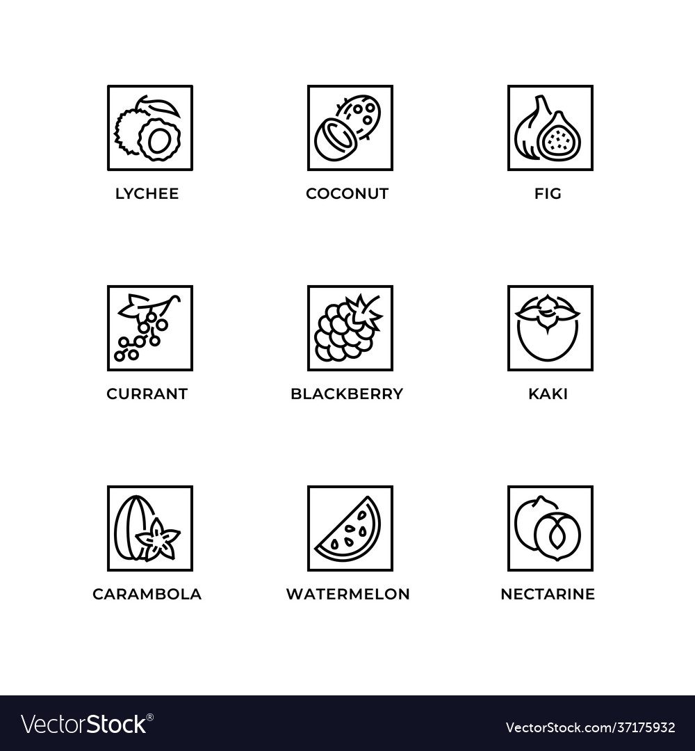 Set icons for fruit line icon editable