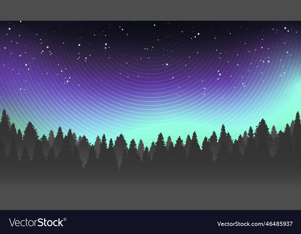 Nordlicht und Waldlandschaft