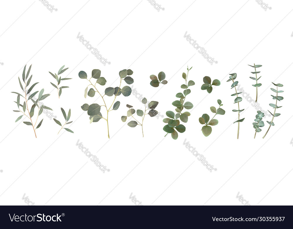 Set different branches