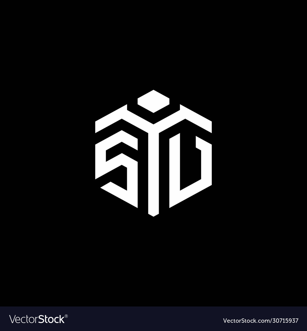 Sv monogram logo with abstract hexagon style