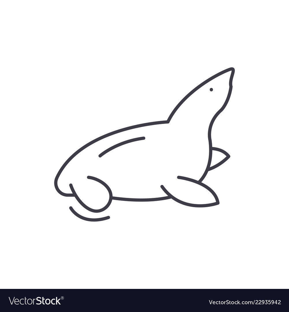 Fur seal line icon concept linear