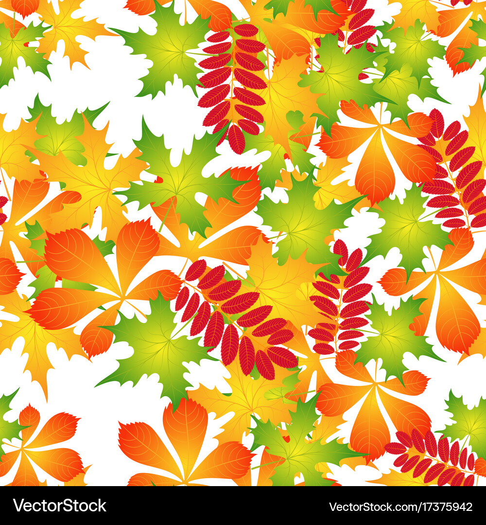 Pattern of autumn leaves Royalty Free Vector Image