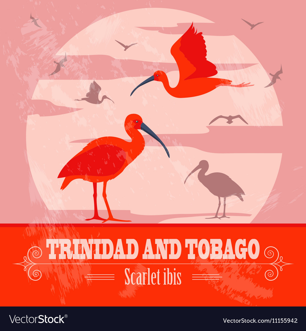 trinidad-and-tobago-national-symbols-scarlet-red-vector-image