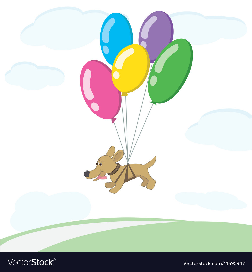 Dog flies on balloons