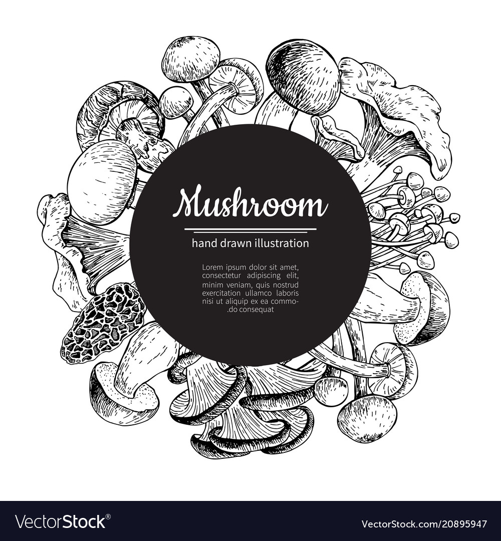 Mushroom hand drawn frame isolated sketch Vector Image