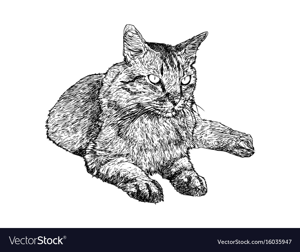 Premium Vector  One continuous line drawing of a cat sitting vector