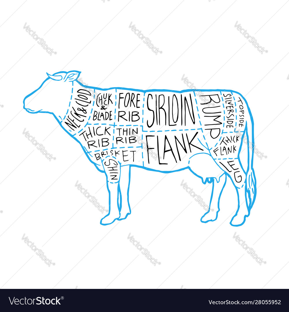 Beef Cut Diagram Poster