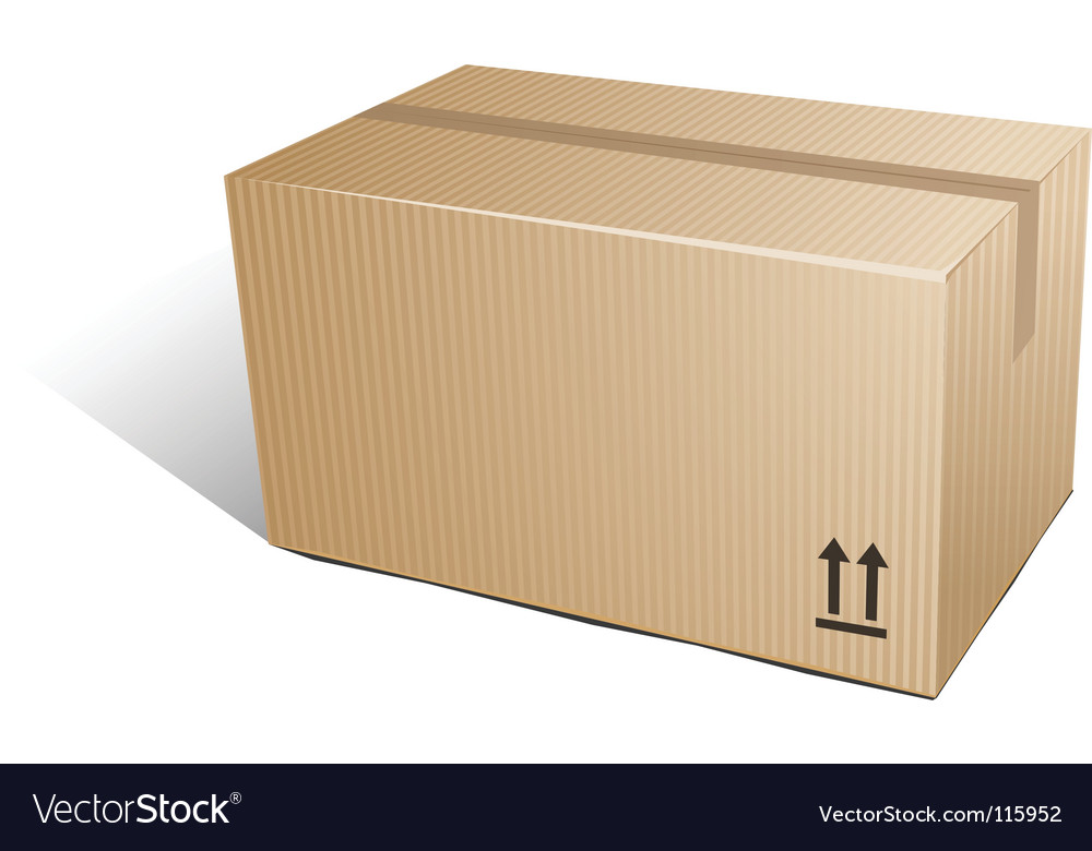 Box carton Royalty Free Vector Image - VectorStock