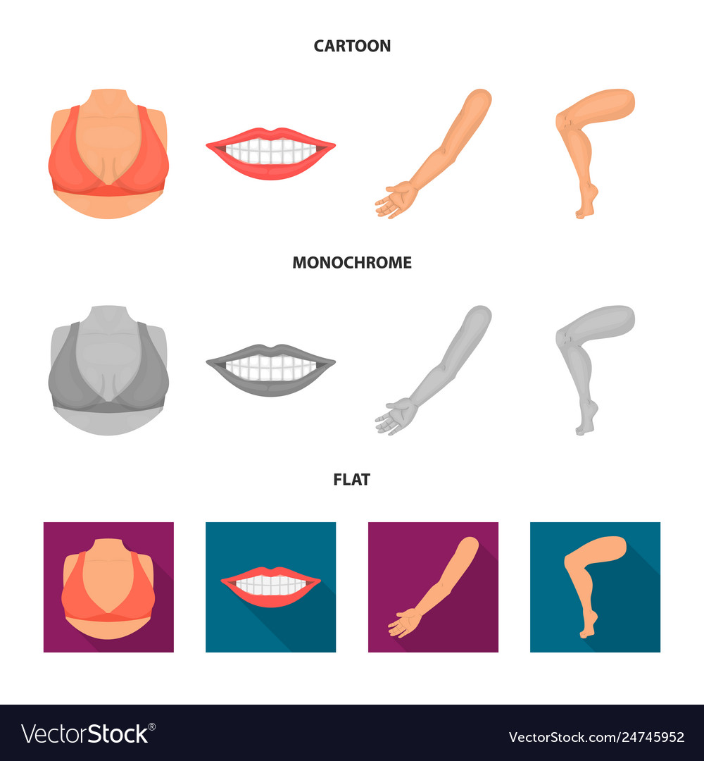 Design body and part icon set vector image Design body and part icon set
